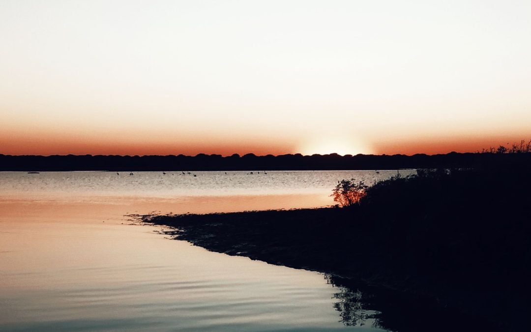 Finding Peace in the Beauty of Sunrises and Sunsets