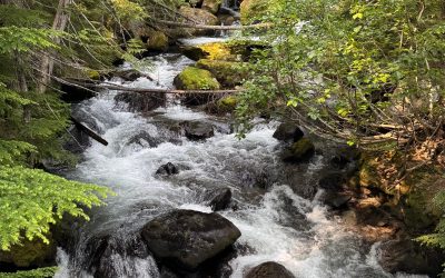 Find Serenity in Nature’s Best Hideaways